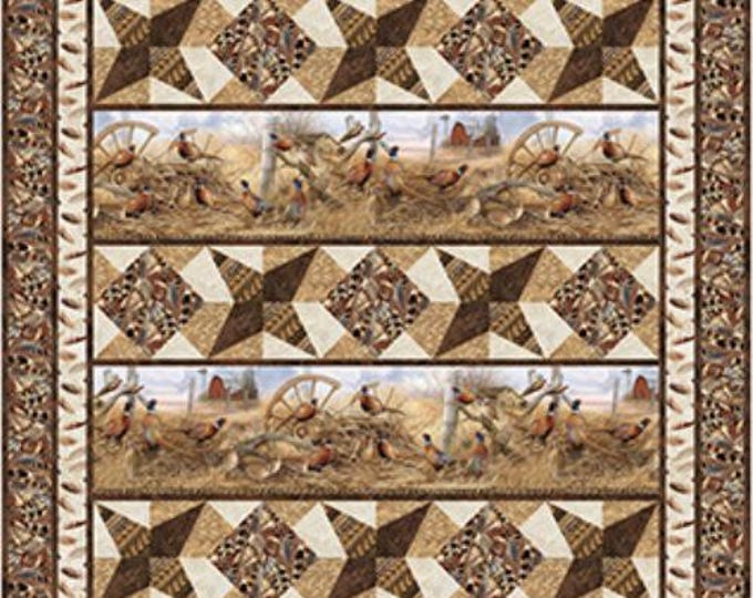 Feathers and Rings Large Quilt Kit – Northcott Pattern PTN3527