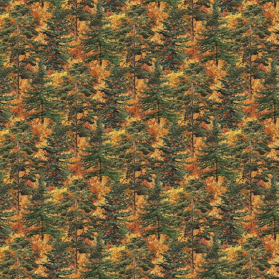 Northcott Naturescapes Autumn Woodland DP28413-37