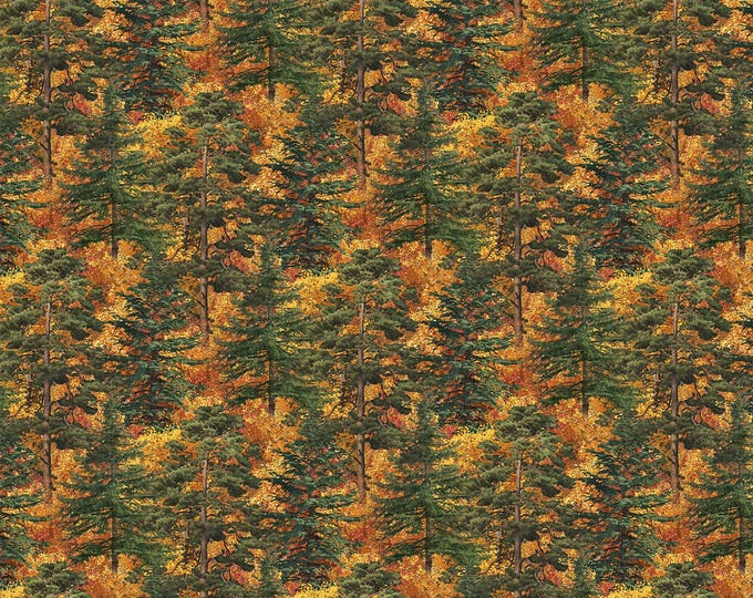 Northcott Naturescapes Autumn Woodland DP28413-37