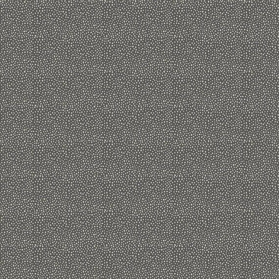 Northcott Wild One Fabric 27694-95