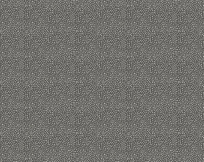 Northcott Wild One Fabric 27694-95