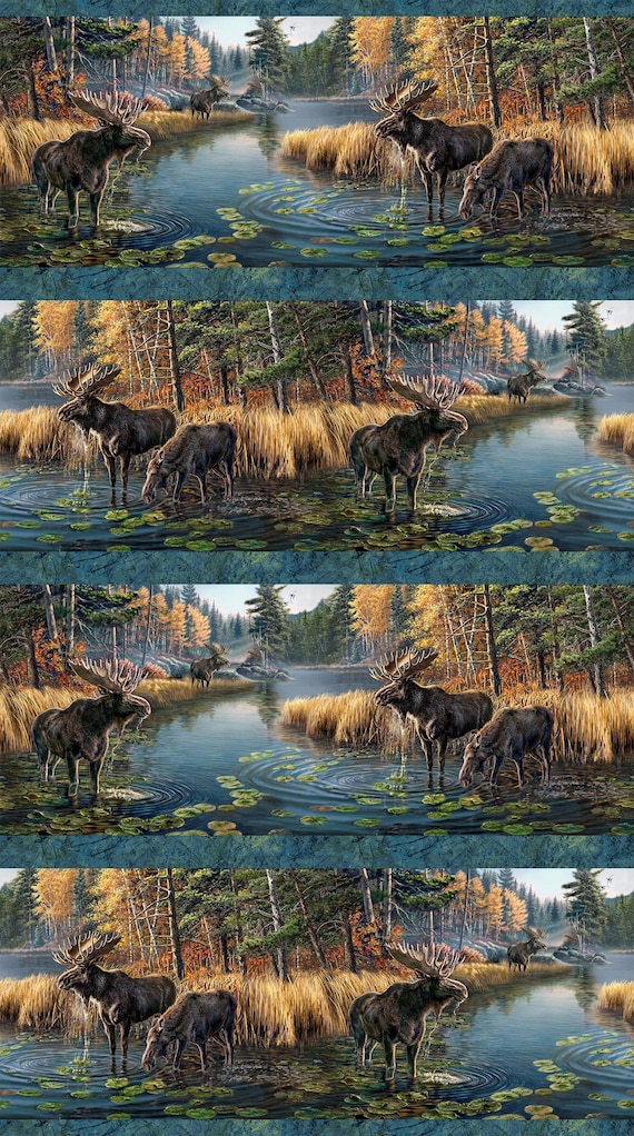 Northcott Naturescapes Autumn Woodland DP28411-48