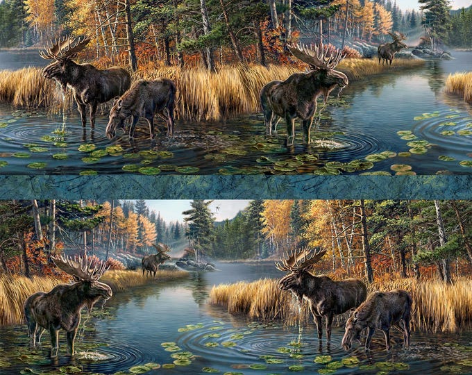 Northcott Naturescapes Autumn Woodland DP28411-48