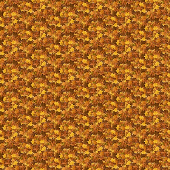 Northcott Naturescapes Autumn Woodland DP28416-37