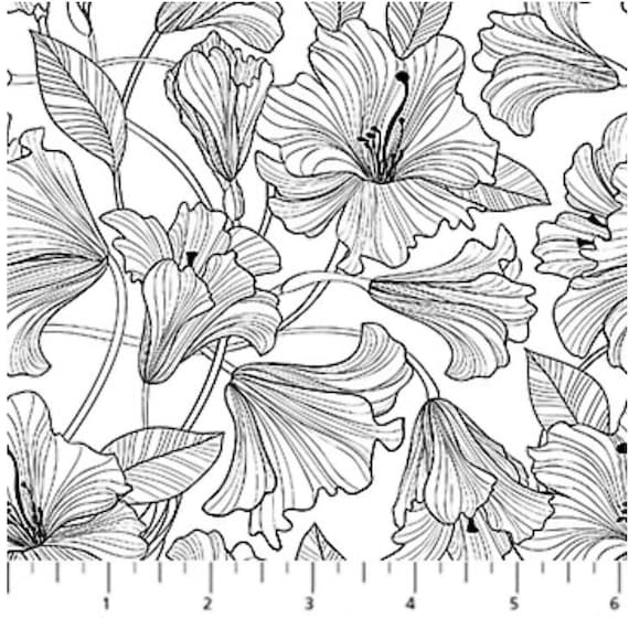 Norhtcott Simply Neutral 2 23912-99