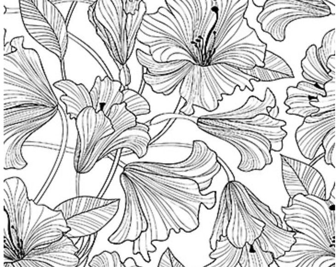 Norhtcott Simply Neutral 2 23912-99