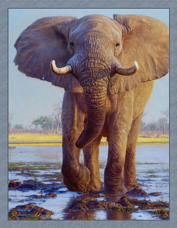 African Elephant Fabric Panel – Kiongozi - Q11