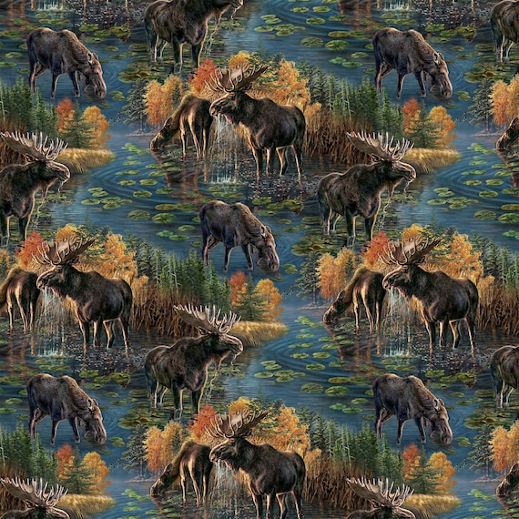 Northcott Naturescapes Autumn Woodland DP28412-48