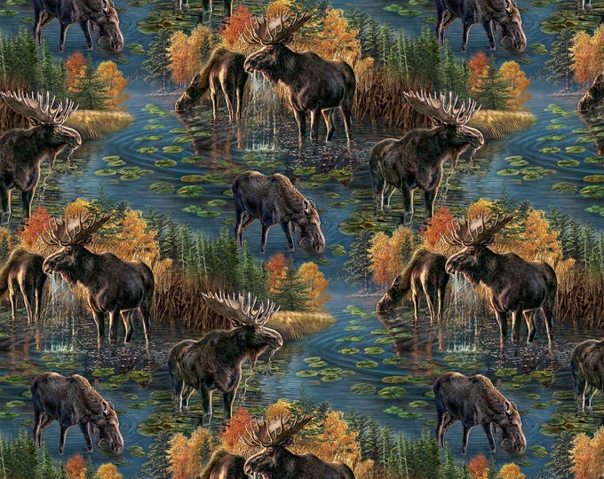 Northcott Naturescapes Autumn Woodland DP28412-48