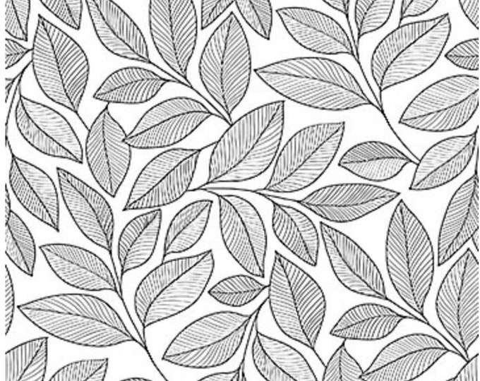 Norhtcott Simply Neutral 2 23913-99