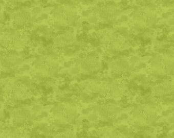 Northcott Studio Toscana 9020-700 Sagebrush