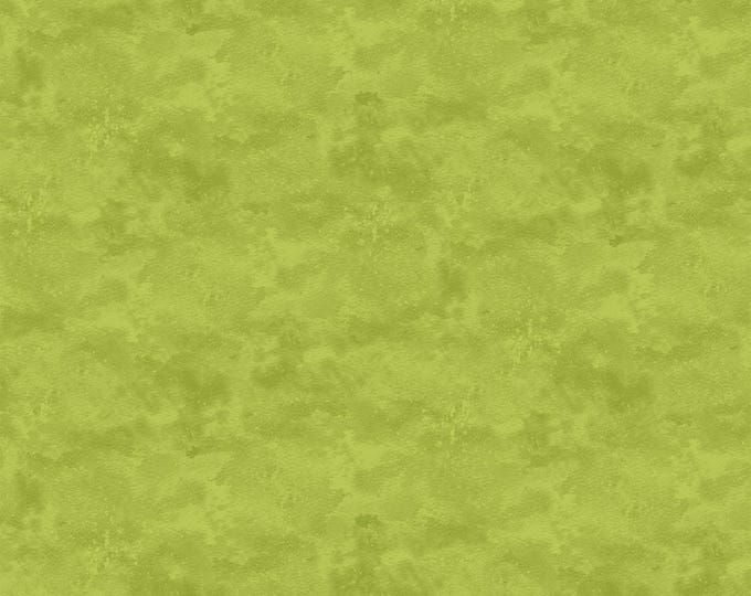 Northcott Studio Toscana 9020-700 Sagebrush