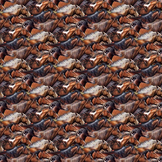 Northcott Fabric Wild and Free DP27603-36