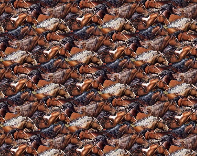Northcott Fabric Wild and Free DP27603-36