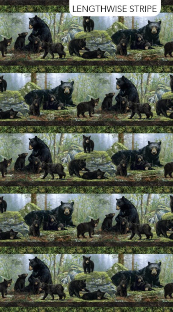Northcott Fabric Bear's Den DP27621-99B Border Stripe Black Multi 1 1/3 yard