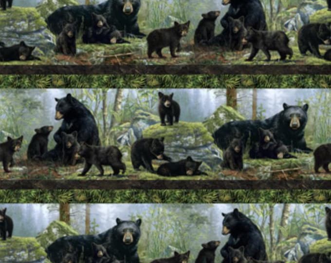 Northcott Fabric Bear's Den DP27621-99 Border Stripe Black Multi