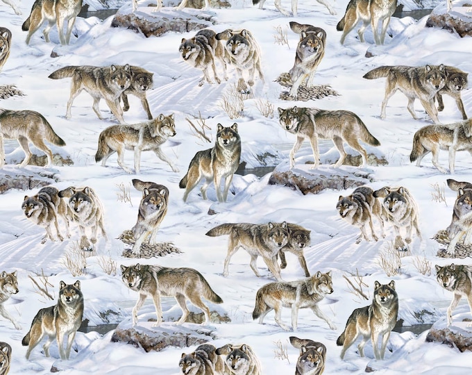 Northcott – Wild at Heart Fabric Collection DP28192-42