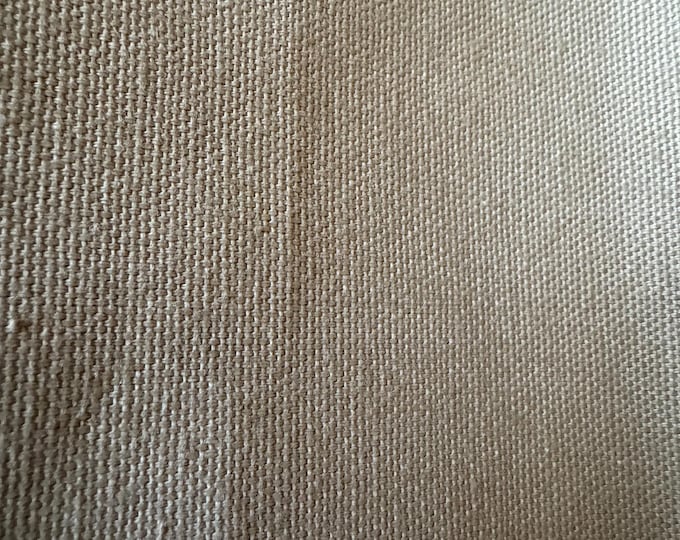 Beige Canvas/Textured Cotton – Heavyweight Basic Fabric 244R