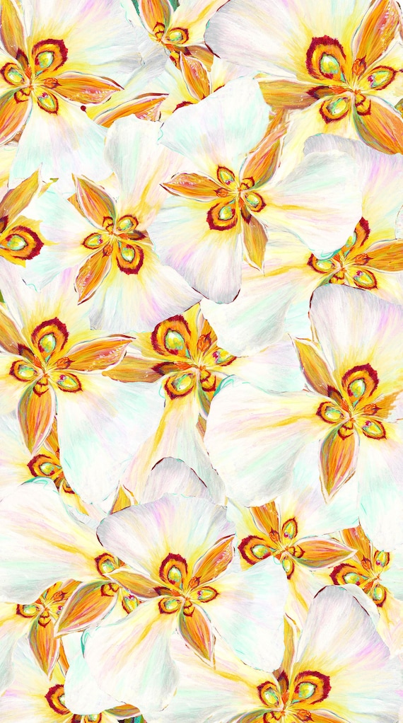 Northcott Fabric Wildflower II 40091-54