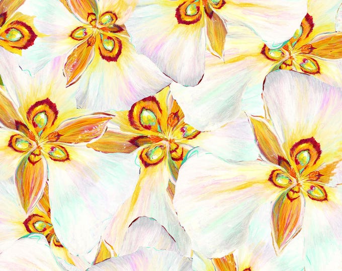 Northcott Fabric Wildflower II 40091-54
