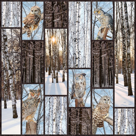 Naturescapes Solitude 26770-38 Owl Panel by David Kiehm for Northcott