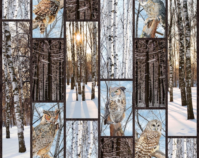 Naturescapes Solitude 26770-38 Owl Panel by David Kiehm for Northcott