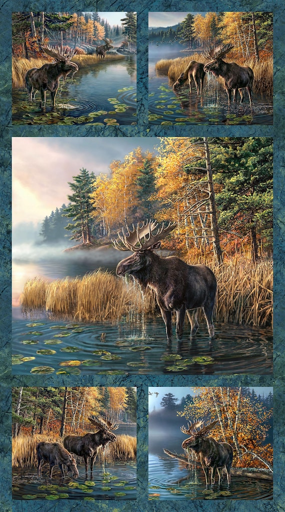 Northcott Naturescapes Autumn Woodland Panel DP28410-48