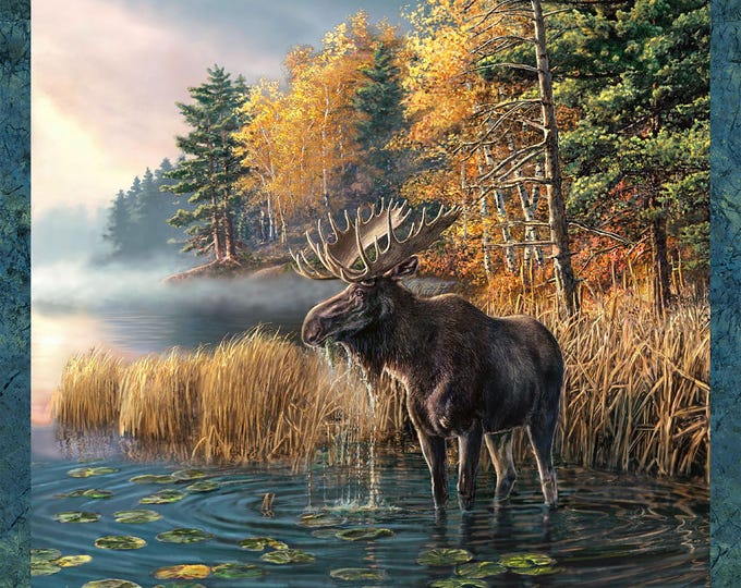 Northcott Naturescapes Autumn Woodland Panel DP28410-48