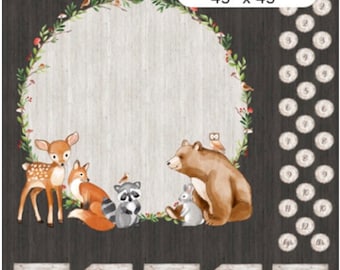 Northcott Woodland Adventures Milestone Panel DP25262-96