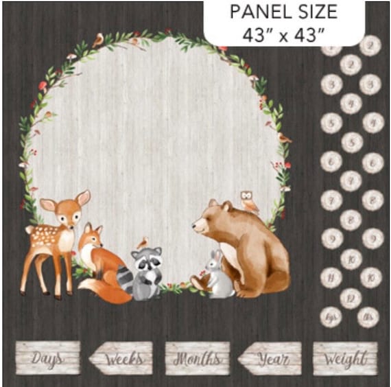 Northcott Woodland Adventures Milestone Panel DP25262-96