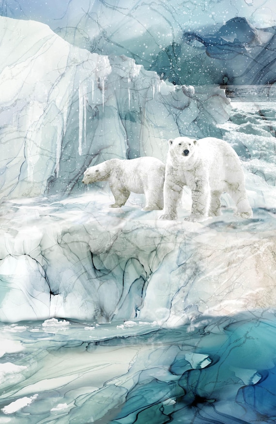 Northcott Fabric – Tundra Crossing Collection DP28290-42