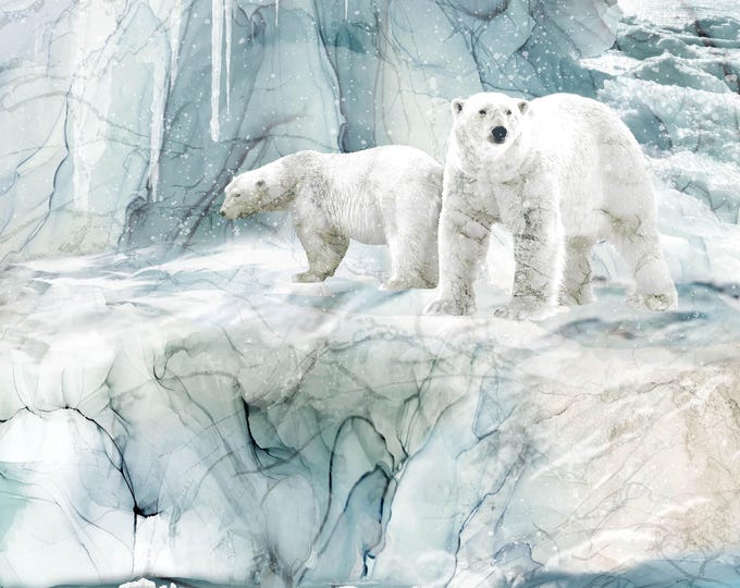 Northcott Fabric – Tundra Crossing Collection DP28290-42