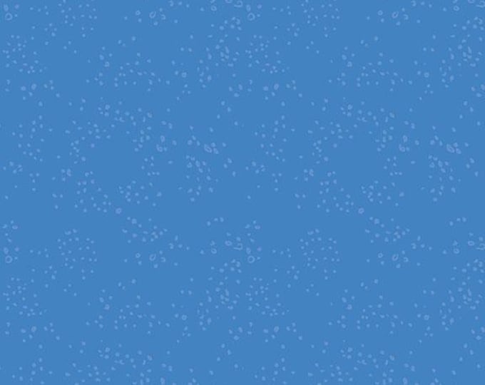 Clothworks Y4644-90 - Little Boy Blue Fabric