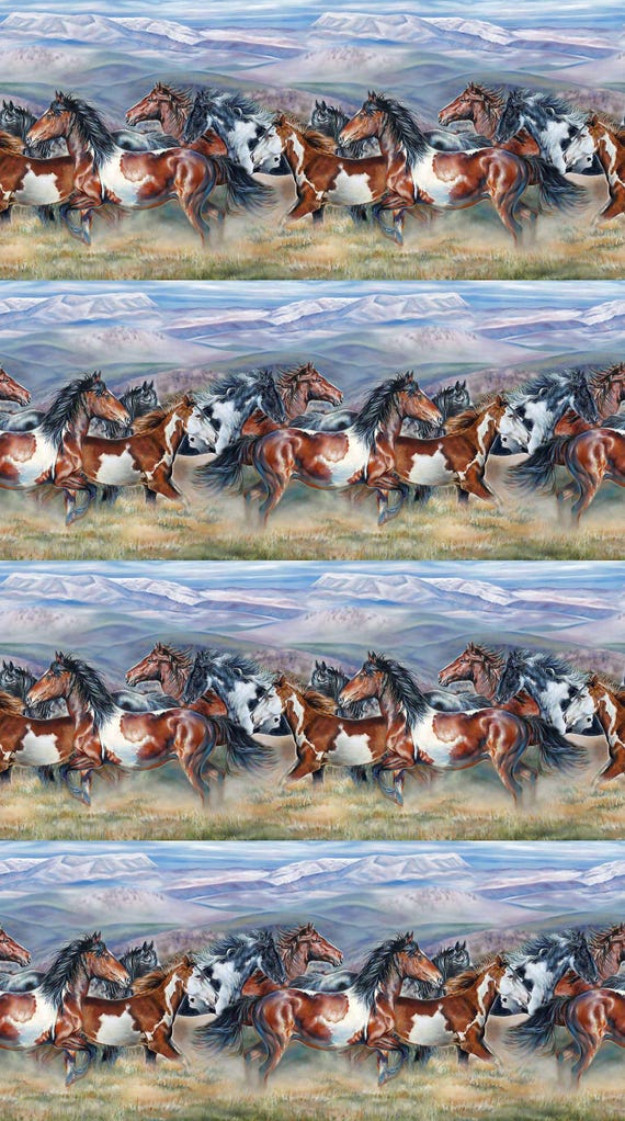 Northcott Fabric Wild and Free DP27601-42