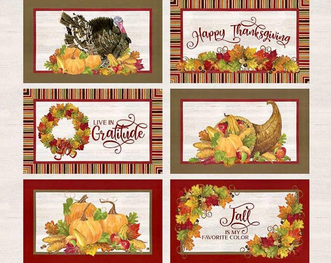 Thanksgiving Sayings Placemat Panel – Riley Blake Designs PD12420