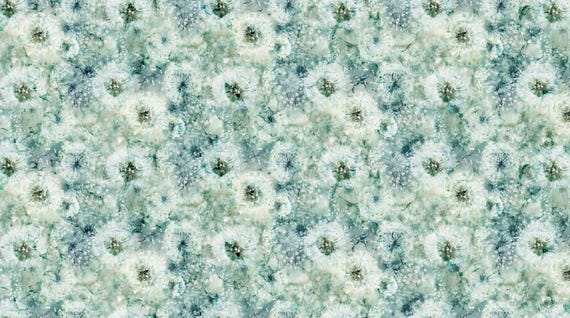 Northcott DP28702-64 Whisper Fabric