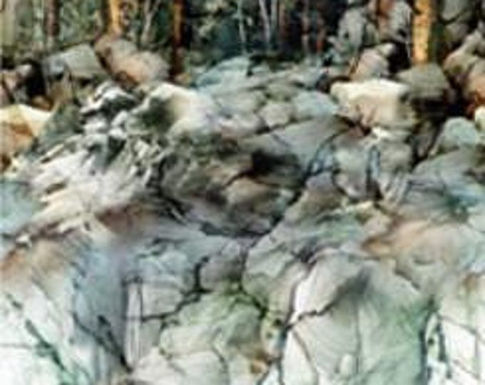 Scenic Panel From Lone Wolf Collection by Northcott DP-27182-66