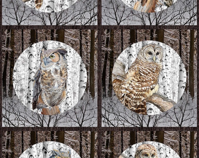 Solitude Owl Naturescapes - David Kiehm - Northcott DP26771-38 Running Yardage 43x24