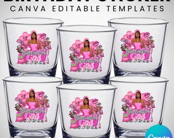 Shot Glass Sticker Template, Pink Dollar Theme Birthday Sticker, Shot Glass, and T-Shirt Designs, Cup Stickers, Canva Template