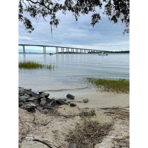 River View from Daniel Island Waterfront Park - Charleston Digital Photo Download