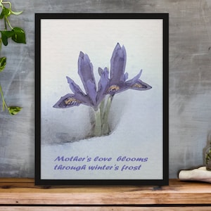Può includere: Un dipinto ad acquerello di iris viola che sbocciano nella neve. Il testo "L'amore di una madre sboccia attraverso il gelo invernale" è scritto sotto i fiori.