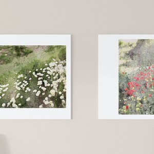 set of two original watercolors "White and Red Wildflowers Blooms" Landscape Floral Painting Home Decor, Wall Art Nature Inspired Handmade