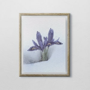Può includere: Un dipinto ad acquerello incorniciato di iris viola che sbocciano nella neve. Il dipinto è su uno sfondo bianco.