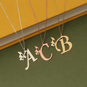 Collar de 14 quilates con mariposa, regalo de cumpleaños, collar de la amistad, collar de mariposa con letra personalizada, regalo para ella, idea de regalo para el Día de la Madre