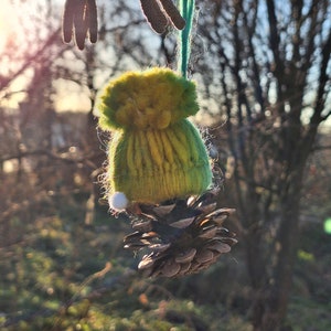 gnome