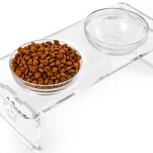 Modern Acrylic Dog and Cat Feeding Stand with Dual Bowls