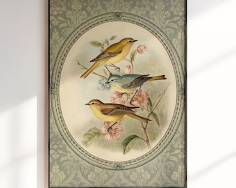 Vintage Bird Illustration: Cottagecore Printable Wall Art (Digital Download)