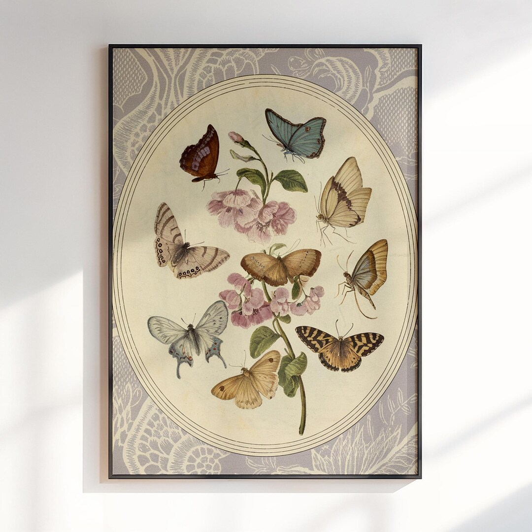Vintage Butterfly Botanical Print: Cottagecore Insect Art (digital ...