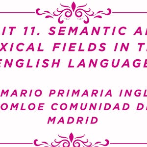 Unité 11. Champs sémantiques et lexicaux en anglais. Programme d'anglais pour l'école primaire, Communauté de Madrid (LOMLOE)