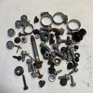 May include: A collection of assorted silver and black metal fasteners, including screws, bolts, nuts, washers, and hose clamps.